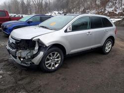 Ford Edge salvage cars for sale: 2013 Ford Edge sel