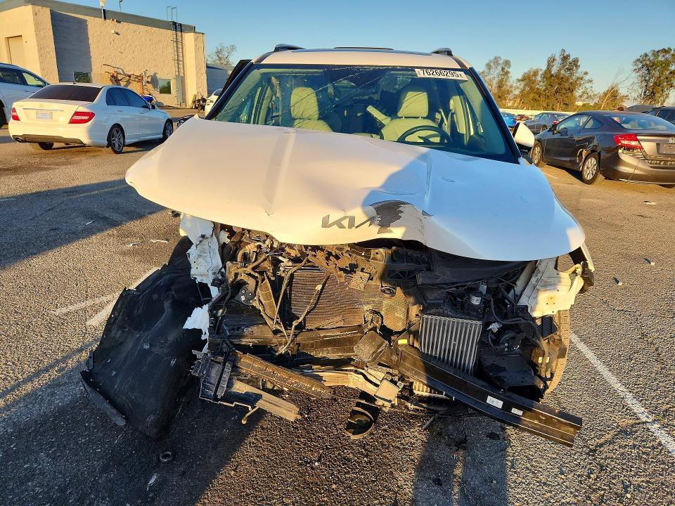 2025 KIA Carnival Hybrid sx