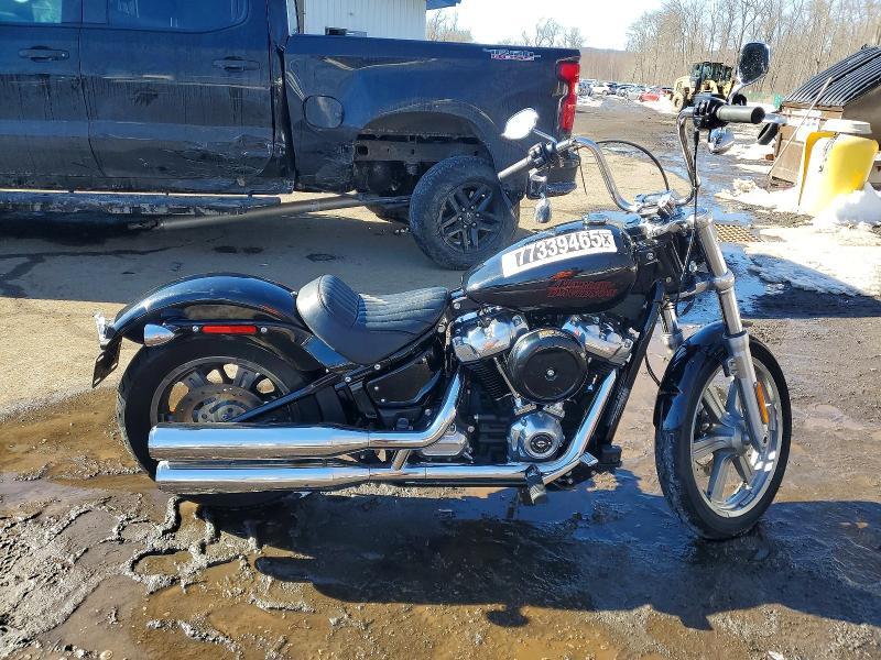 2024 Harley-Davidson Fxst
