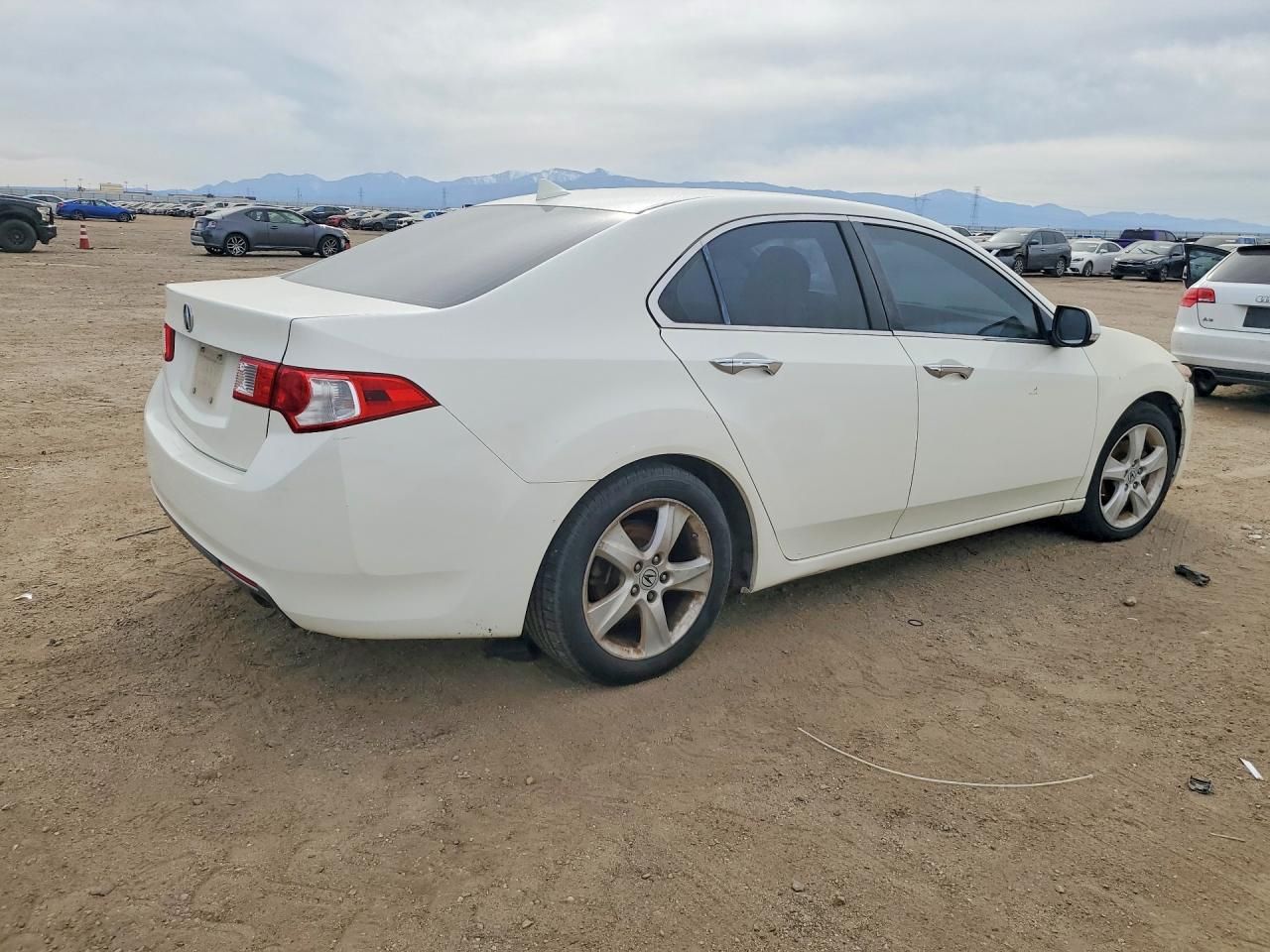 2010 Acura TSX