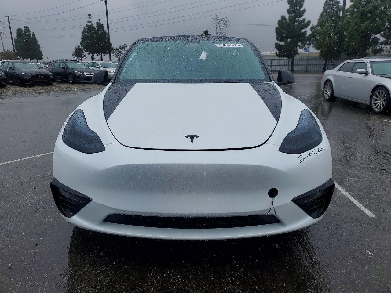 2025 Tesla Model y