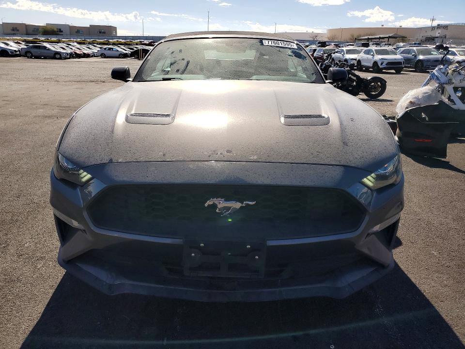 2019 Ford Mustang