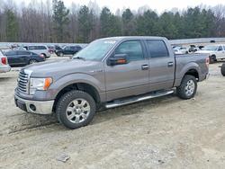 2010 Ford F150 Supercrew en venta en Gainesville, GA