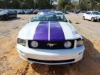 2006 Ford Mustang gt
