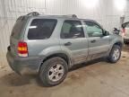 2006 Ford Escape xlt
