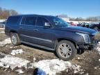2017 Cadillac Escalade esv