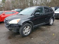 Honda salvage cars for sale: 2010 Honda Cr-v exl