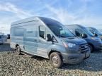 2020 Ford Transit 250 Delivery van