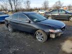 2005 Acura TSX