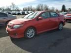 2009 Toyota Corolla Base
