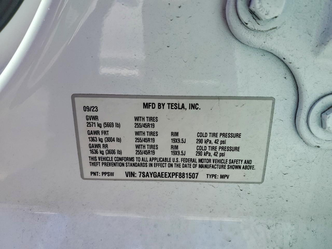 2023 Tesla Model y