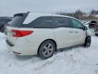 2020 Honda Odyssey exl
