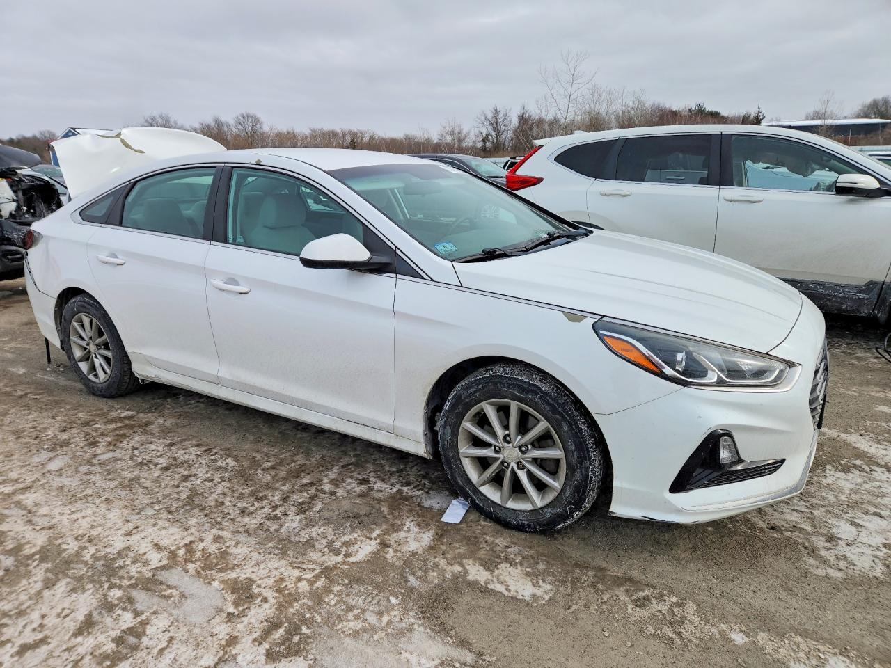 2019 Hyundai Sonata se