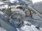 2024 Skidoo Expedition Xtreme 900 ACE Turbo R