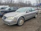 2001 Nissan Maxima gxe