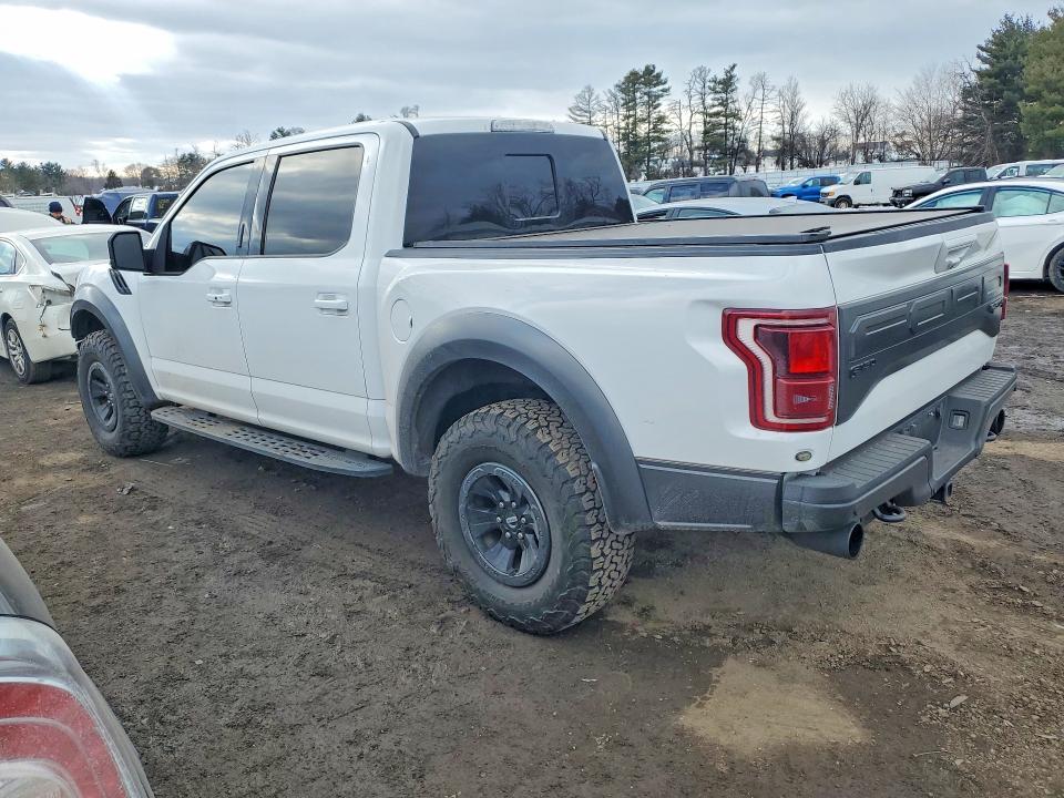 2018 Ford F150 Raptor