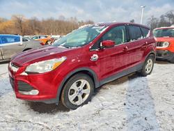 Ford Vehiculos salvage en venta: 2013 Ford Escape se