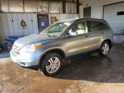 2010 Honda Cr-v exl for sale in Chicago Heights, IL