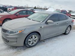 Salvage cars for sale from Copart London, ON: 2016 KIA Optima lx