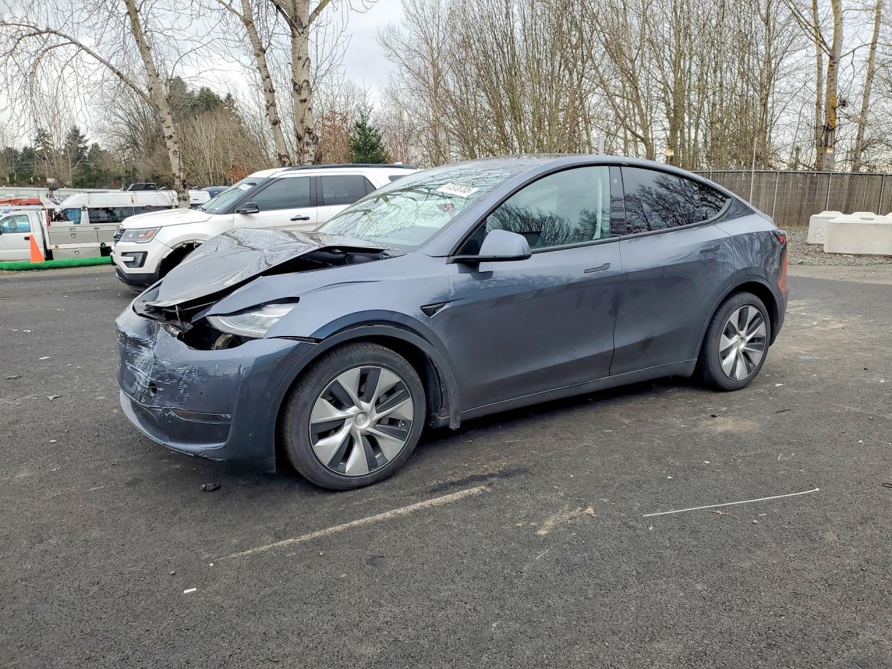 2020 Tesla Model y