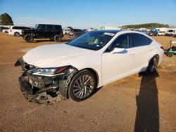 Lexus salvage cars for sale: 2019 Lexus Es 350