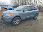 2007 Hyundai Santa fe gls