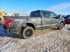2024 Ford F150 xlt