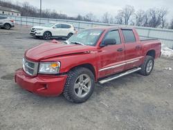 Dodge Dakota salvage cars for sale: 2008 Dodge Dakota Quad Laramie