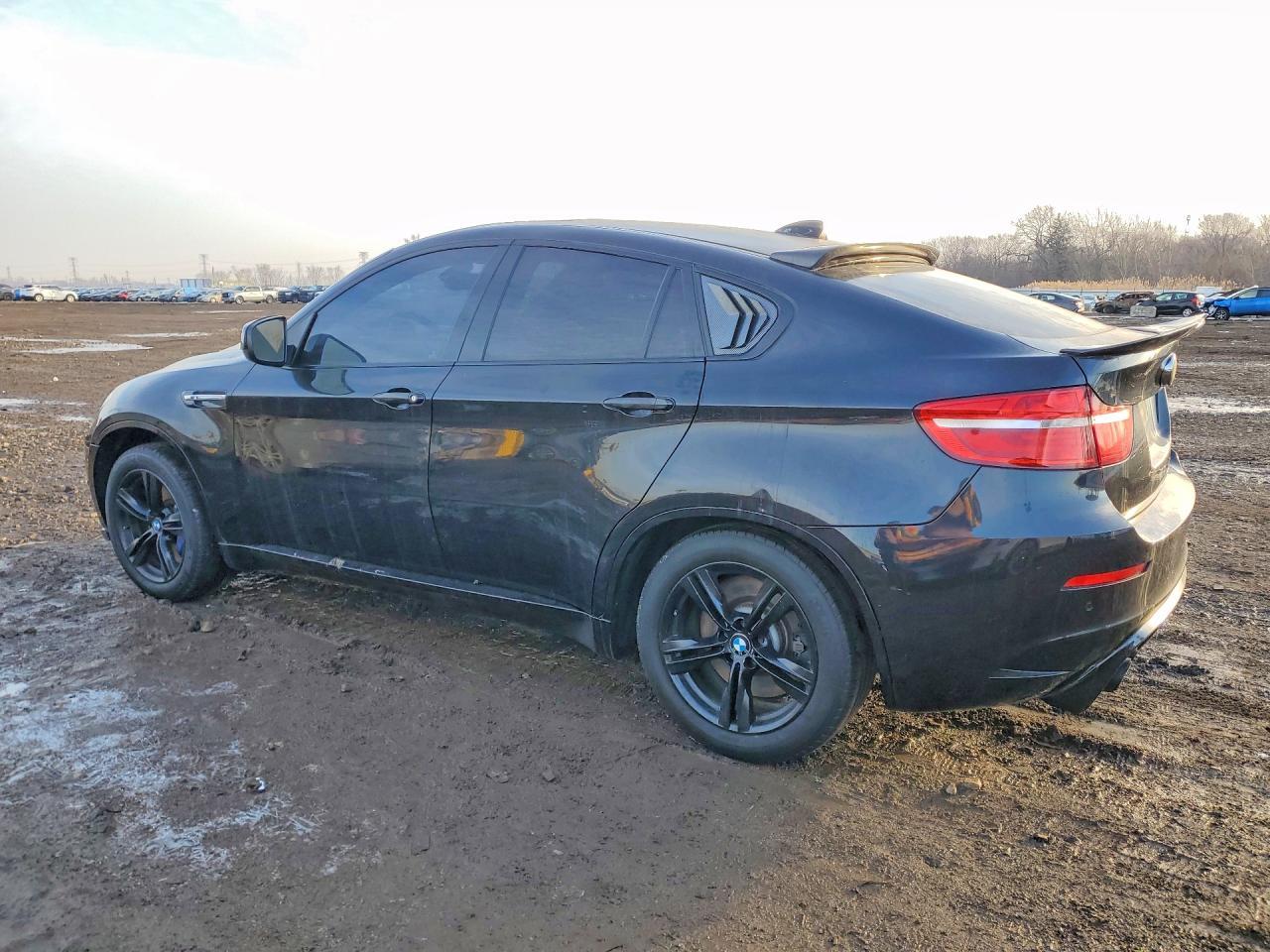 2014 BMW X6 m