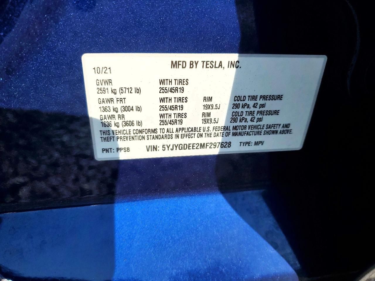 2021 Tesla Model y