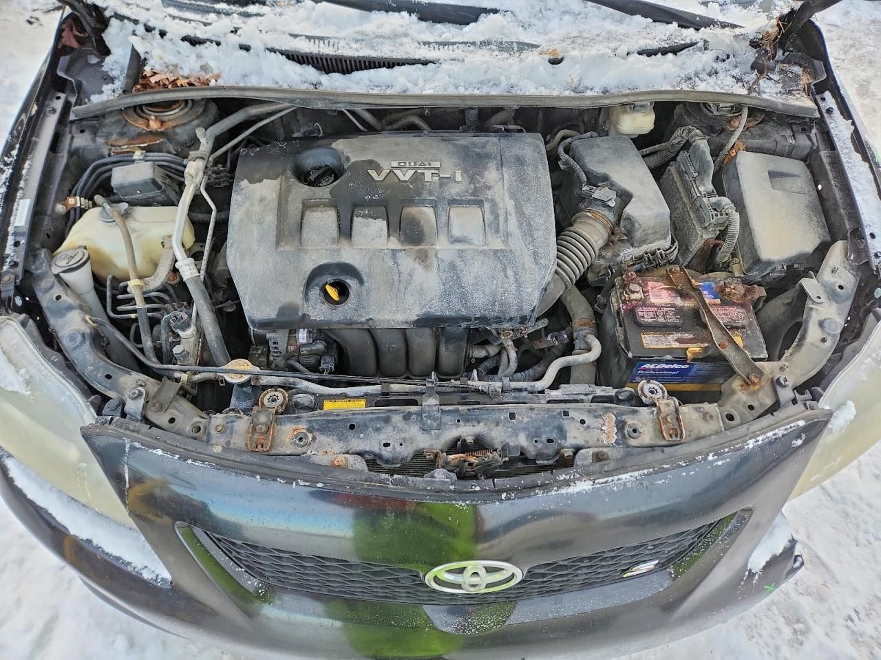 2010 Toyota Corolla Base