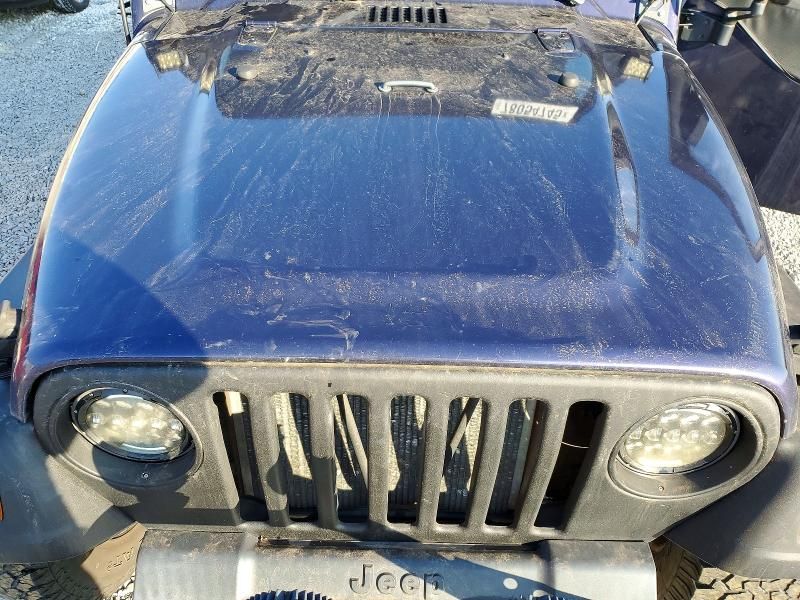 1998 Jeep Wrangler / tj se