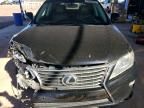 2013 Lexus RX