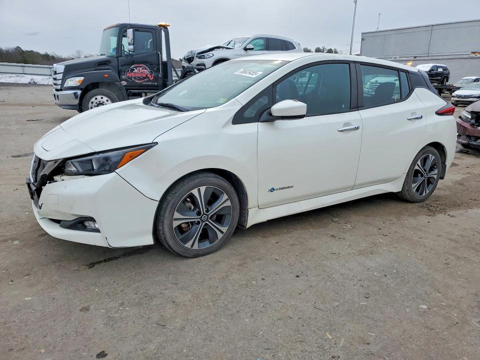 2018 Niss Leaf sv