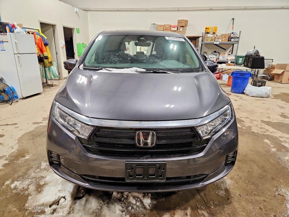 2023 Honda Odyssey exl
