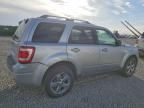 2010 Ford Escape Limited