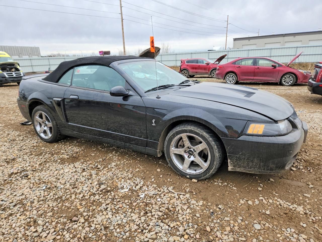 2003 Ford Mustang Cobra svt