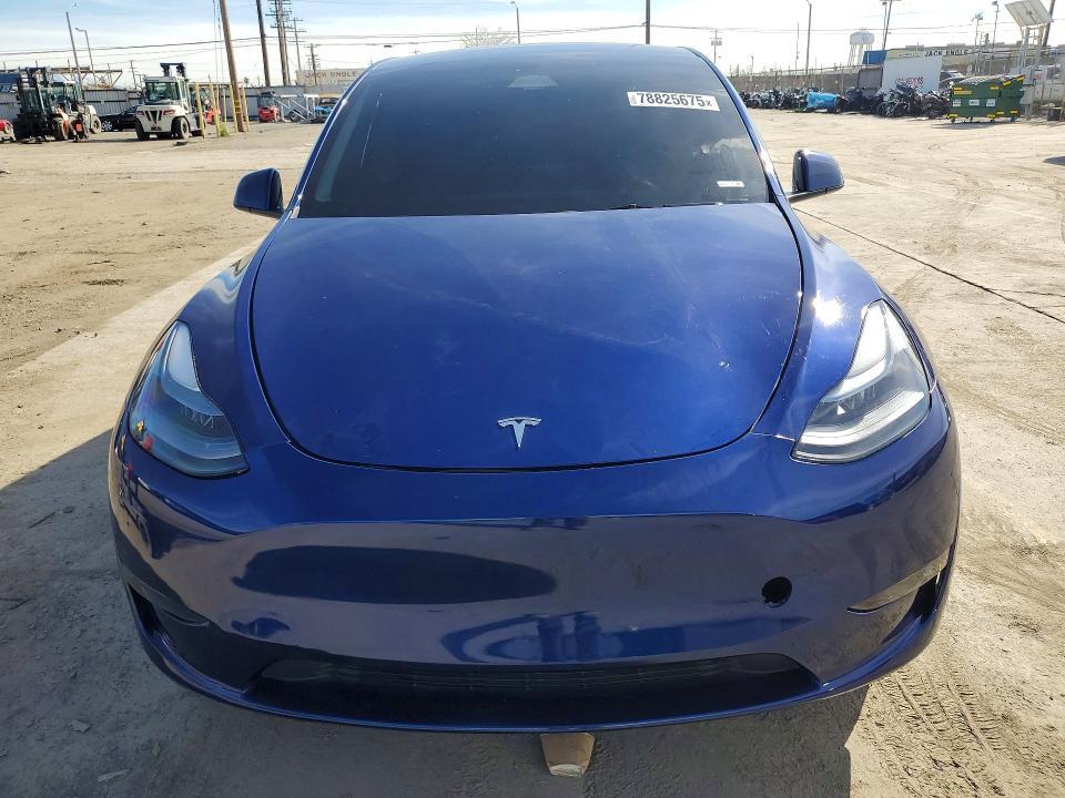 2025 Tesla Model y