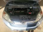 2009 Honda Cr-v exl