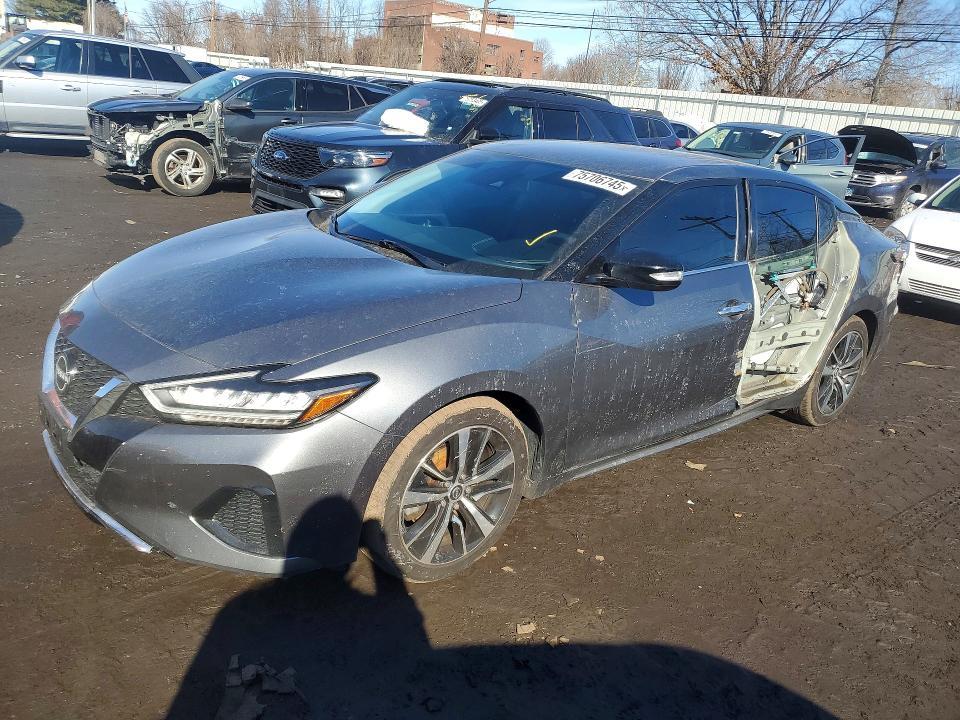 2023 Niss Maxima 3.5 sv