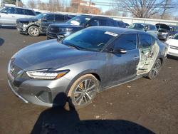 Niss Maxima salvage cars for sale: 2023 Niss Maxima 3.5 sv