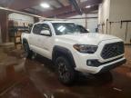 2023 Toyota Tacoma Double cab