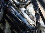 2003 Harley-Davidson XL1200 C