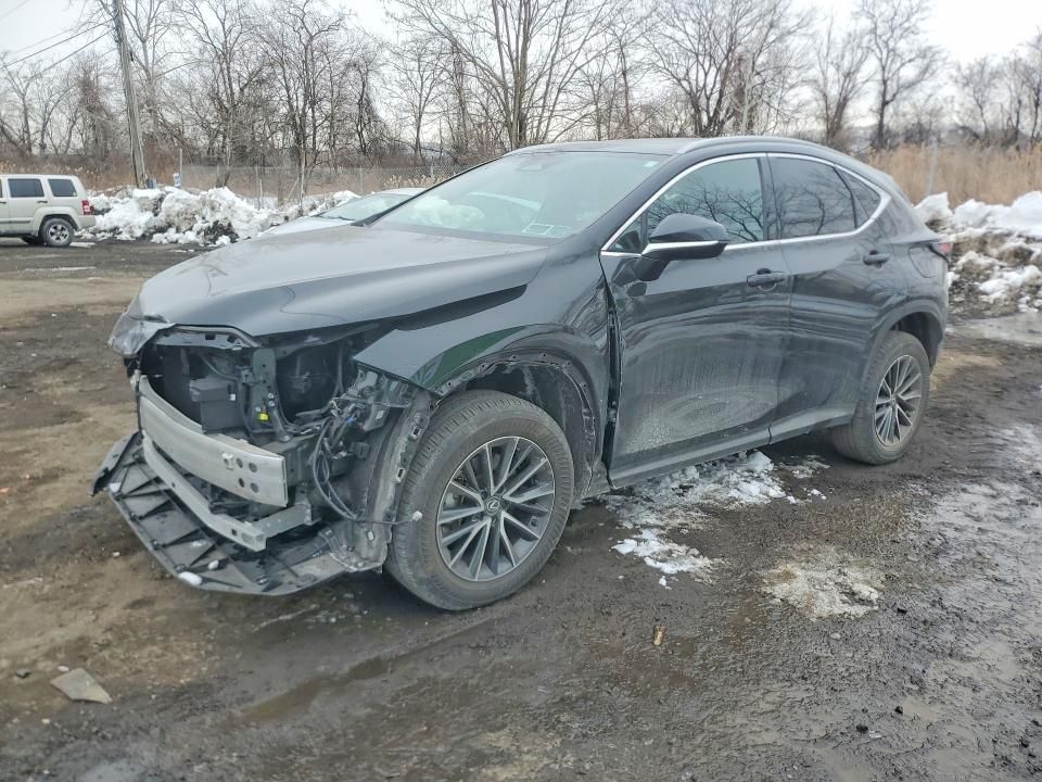 2024 Lexus Nx 350 Premium
