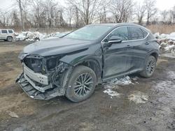 Lexus Nx 350 pre salvage cars for sale: 2024 Lexus Nx 350 Premium