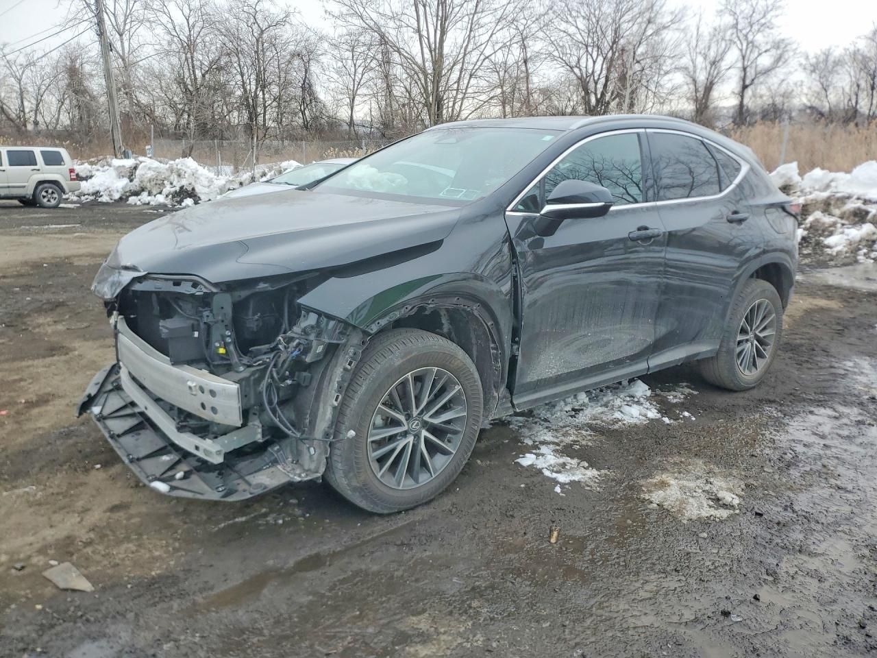 2024 Lexus Nx 350 Premium