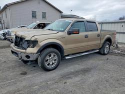 Ford salvage cars for sale: 2013 Ford F150 Supercrew