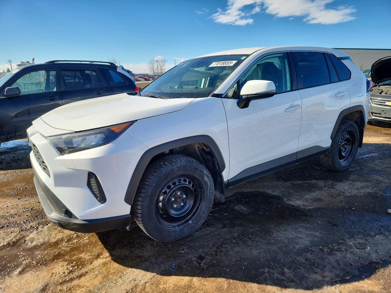 2023 Toyota Rav4 le