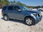 2011 Ford Escape xls