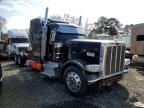 2023 Peterbilt 389